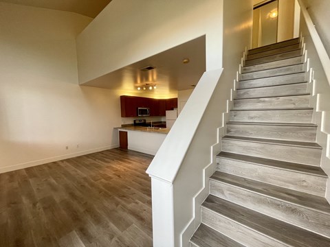 Floor plan for 1 bed, 1 bath, 800 sqft